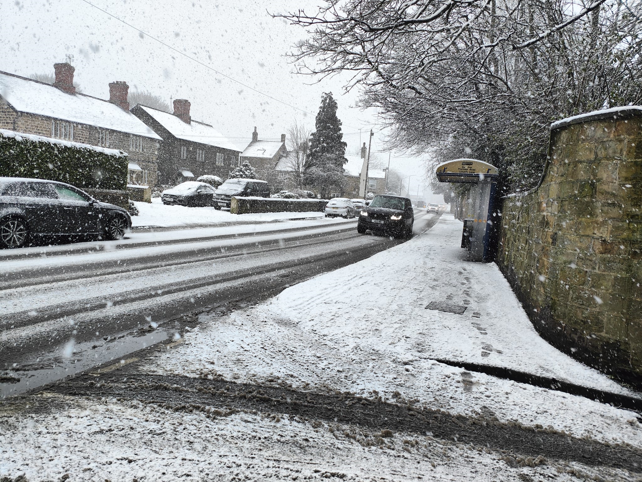 Rotherham schools closed and public transport disrupted after